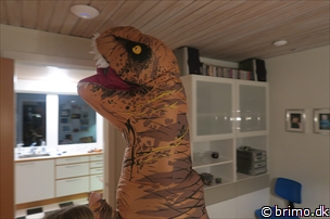 Tilfældigt billede fra November 2017