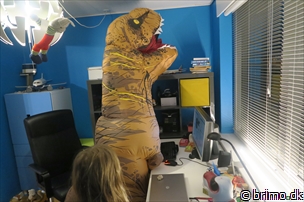 Miniature af billede nummer 9180