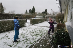 Miniature af billede nummer 9188