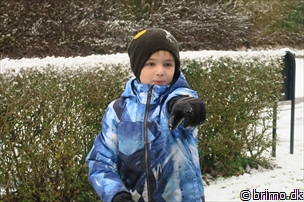 Miniature af billede nummer 9189