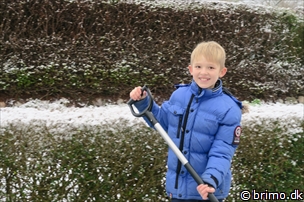 Miniature af billede nummer 9190