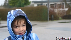 Miniature af billede nummer 9194