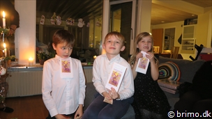 Miniature af billede nummer 9203