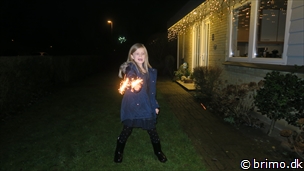 Miniature af billede nummer 9212