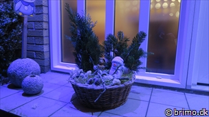 Tilfældigt billede fra Januar 2018