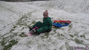 Miniature af billede nummer 9219