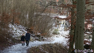 Miniature af billede nummer 9223