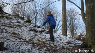 Miniature af billede nummer 9224