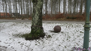 Miniature af billede nummer 9226