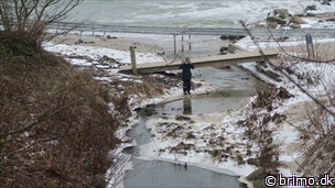 Miniature af billede nummer 9236