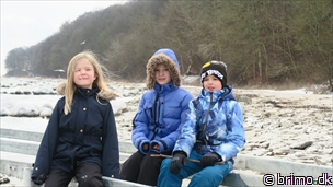 Miniature af billede nummer 9238