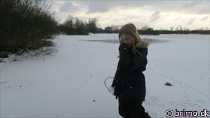 Miniature af billede nummer 9239