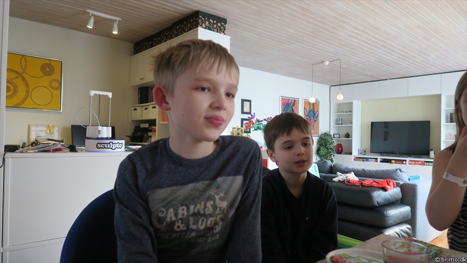 Billede nummer 10181