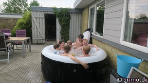 Miniature af billede nummer 10187