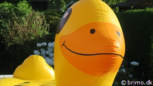 Miniature af billede nummer 10191