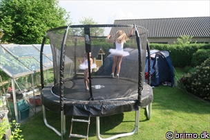 Miniature af billede nummer 10208