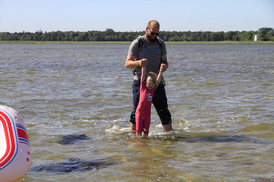 Billede nummer 10210