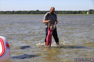 Miniature af billede nummer 10210