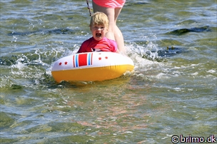 Miniature af billede nummer 10211