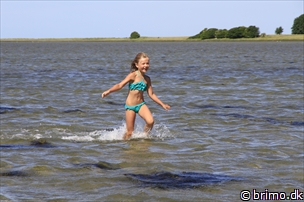 Miniature af billede nummer 10213