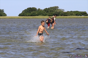 Miniature af billede nummer 10214