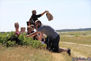 Miniature af billede nummer 10215