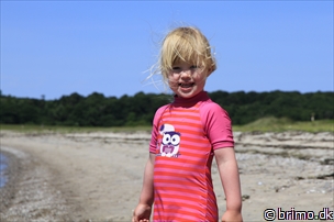 Miniature af billede nummer 10216