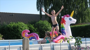 Miniature af billede nummer 10219