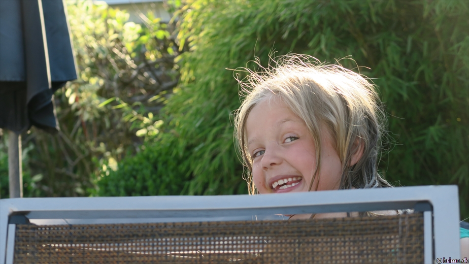 Billede nummer 10220