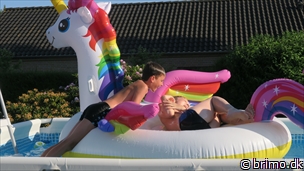 Miniature af billede nummer 10221