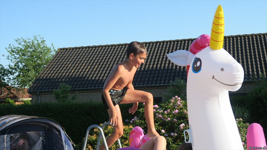 Billede nummer 10222