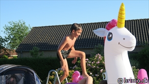 Miniature af billede nummer 10222