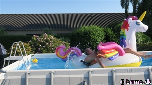 Miniature af billede nummer 10223