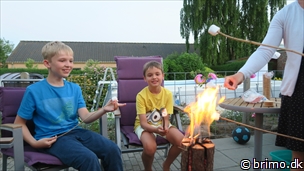 Miniature af billede nummer 10228