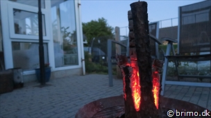 Miniature af billede nummer 10229