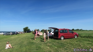 Miniature af billede nummer 10230