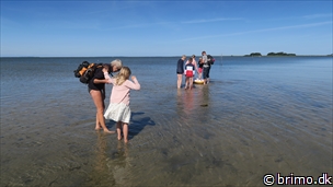 Miniature af billede nummer 10231