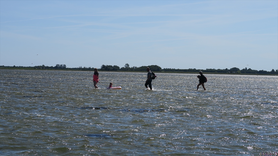 Billede nummer 10232