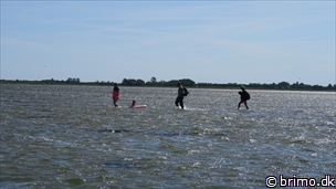 Miniature af billede nummer 10232