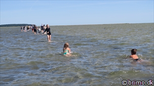 Miniature af billede nummer 10234