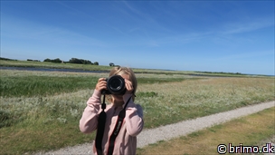 Miniature af billede nummer 10236