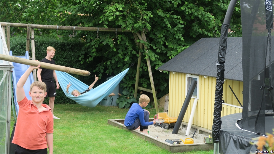 Billede nummer 10239