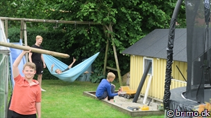 Miniature af billede nummer 10239