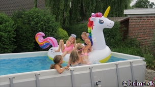 Miniature af billede nummer 10246