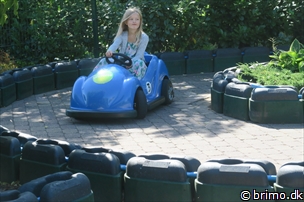 Miniature af billede nummer 10250