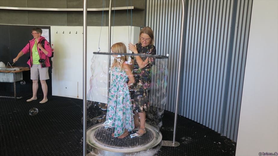 Billede nummer 10255