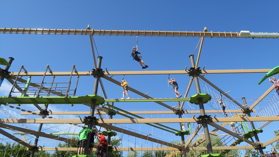 Billede nummer 10256