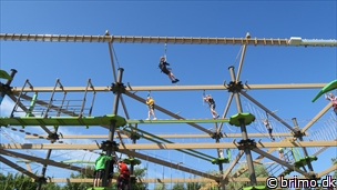 Miniature af billede nummer 10256