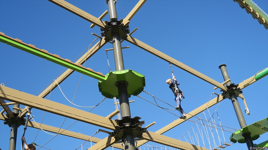 Billede nummer 10258