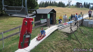 Miniature af billede nummer 10263